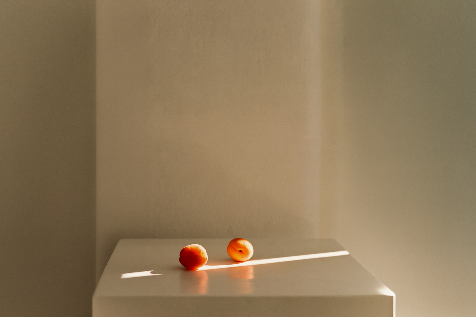 nectarines in the sunshine